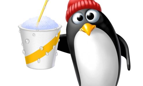 CMS Auto Repair Conway