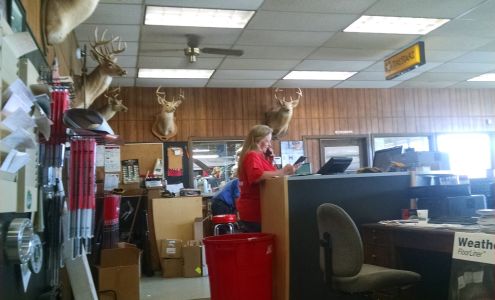 Cates Firestone Waynesboro