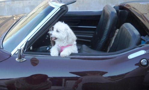 Jake's Auto Body & Painting Works, Inc.