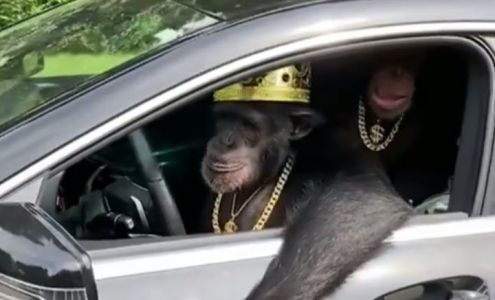 Dotson Tire Lancaster