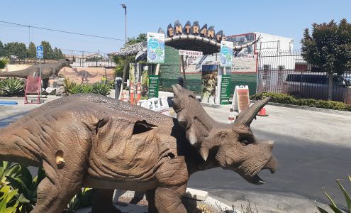 Green Forest Car Wash