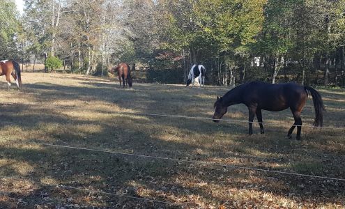 Quality First Repair Carrsville