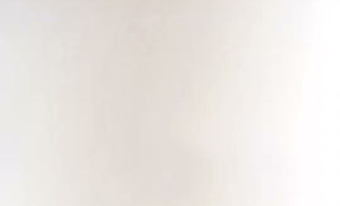 Performance Auto Inc