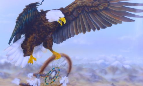 Country Auto Inc Anamosa