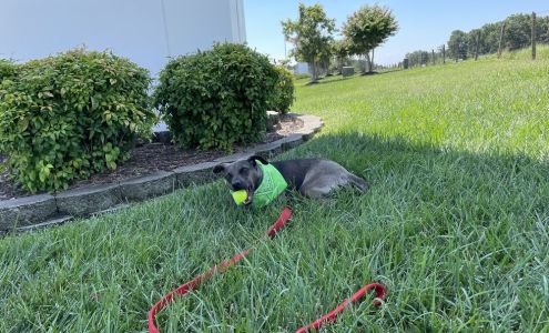 CMA's Colonial Honda Parts Department