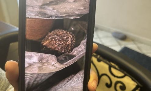 Astro Auto Repair Service Center Inc