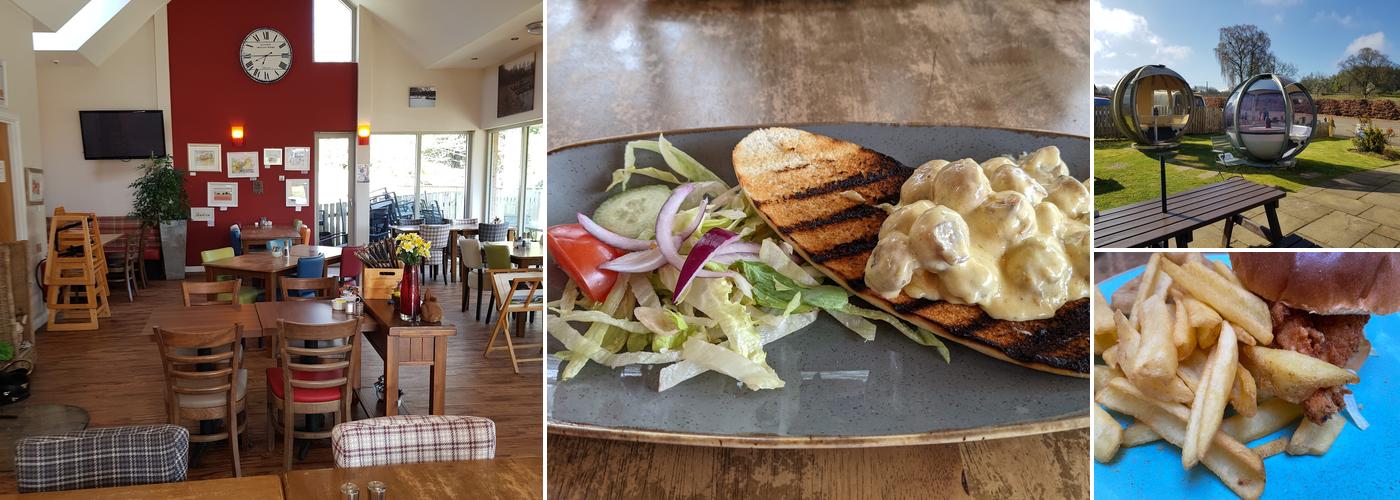 Bridge 49 Cafe Bar & Bistro