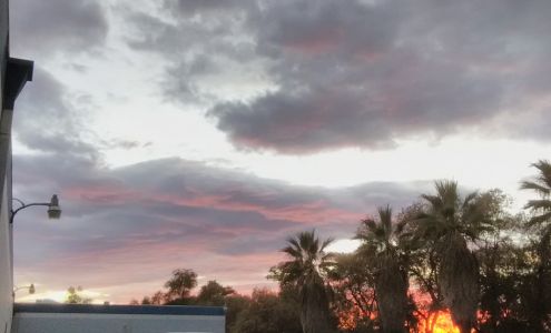 America's Finest Corvettes