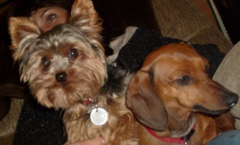 Wayne Taylor Auto Sales Detroit Lakes