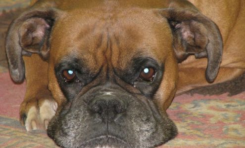 Righteous Cycle & Auto Newton