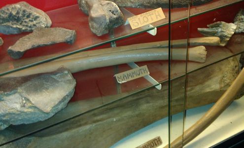 Community Tire Services