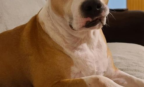 Anderson Subaru Parts