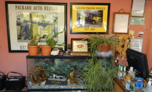 Packard Auto Repair & service center
