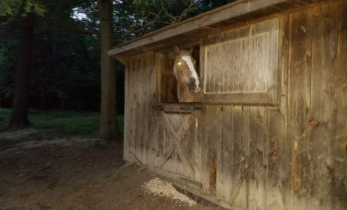 Impact Auto Sales & Repair Pembroke