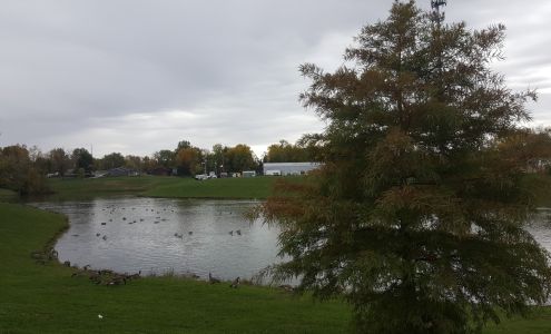 MAP/Eagle Automotive