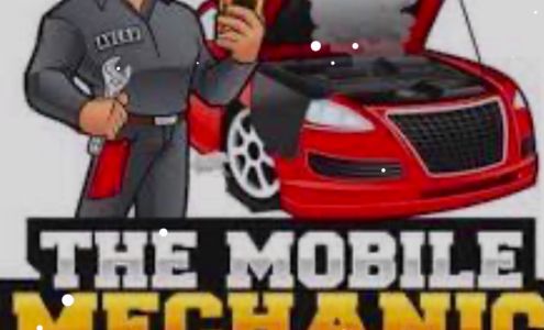 The Mobile Mechanic & Vehicle Inspections