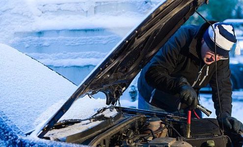 Shortstop Auto Winchester