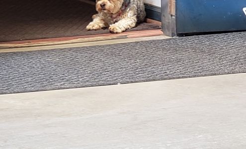 Greg Jenkins Auto Repair