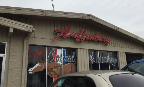 Auffenberg Preowned Belleville