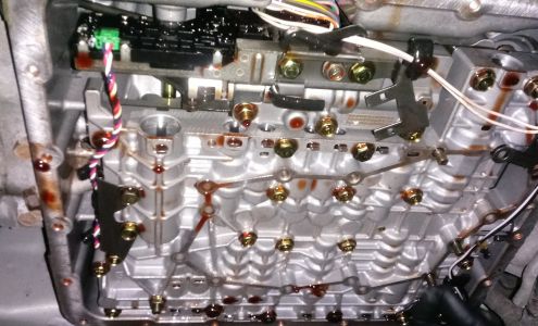 Chicago Imports & Domestic Auto Repair