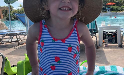 Hamilton Auto Body Falmouth