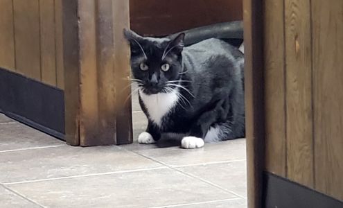 Auto Express Services Center