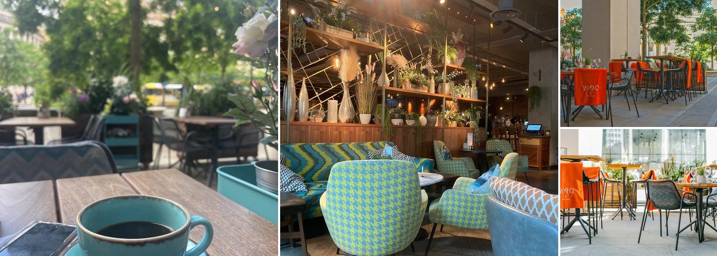 The Anthologist St Peter's Square