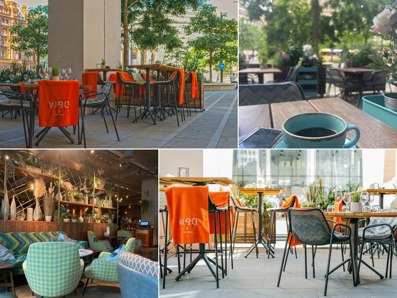 The Anthologist St Peter's Square