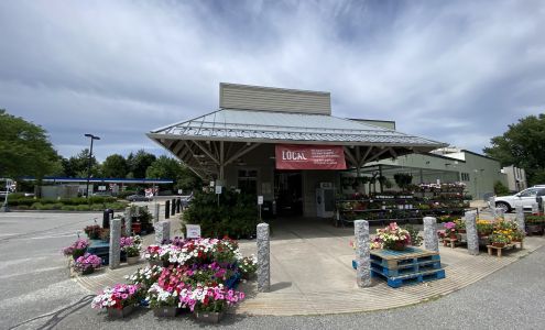 Whole Foods Market