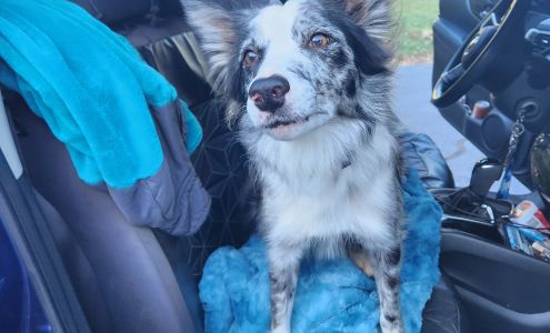 Mobile Mechanic Factory Trained Auto Repair (24hr Roadside) Calhoun