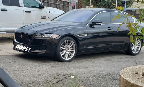 Alexandria Car Clinic