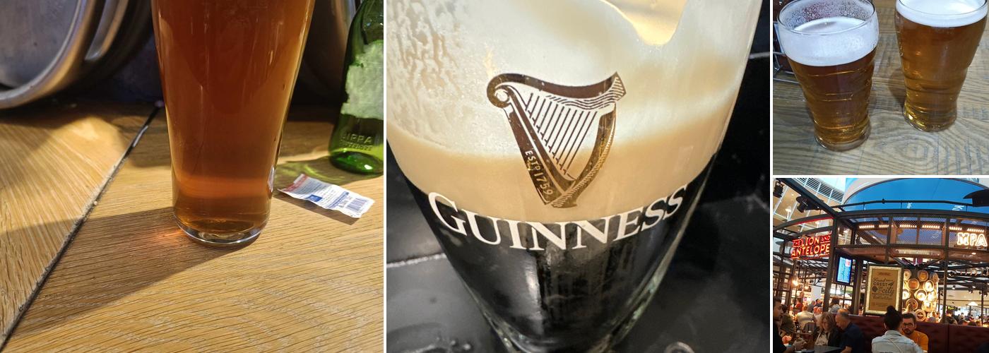 The Lion and Antelope