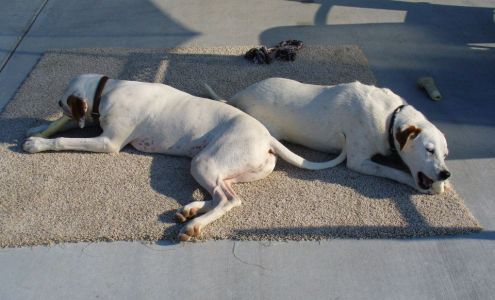 Jamie's automotive repair and manufacturing Virden