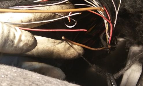 Reza's Auto Services Center