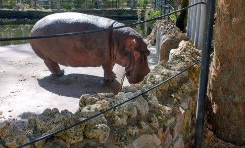 Fisher's Garage Newfield