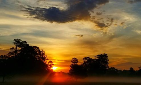 Pit Stop Oil Change West Monroe