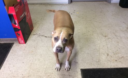 Ken's Baker Auto Repair