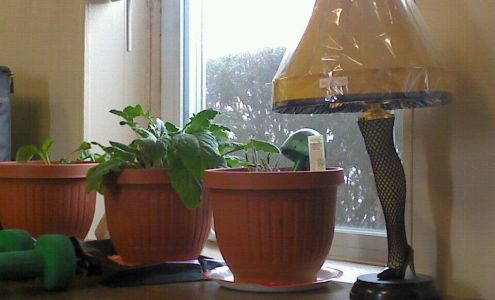 Affordable Automotive