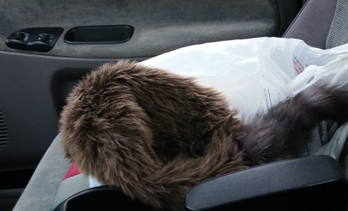 Bob & Jim's Auto Service