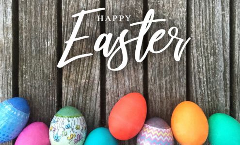 Bud's Auto Body Falkville