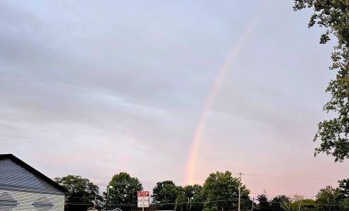 Holt Transport Services