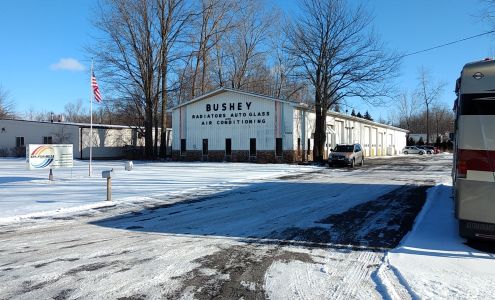 Bushey Automotive Midland