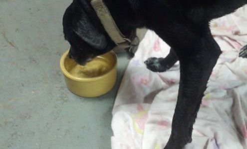 BT Auto Repair Dakota City