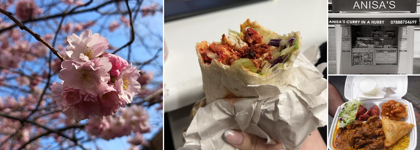 Anisa's Curry In A Hurry