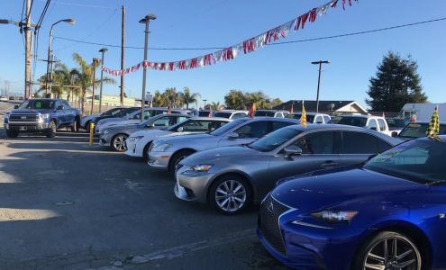 831 Motors Prunedale