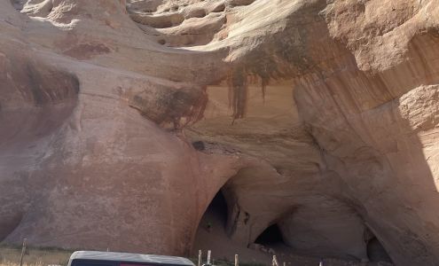 Myers Automotive Derby