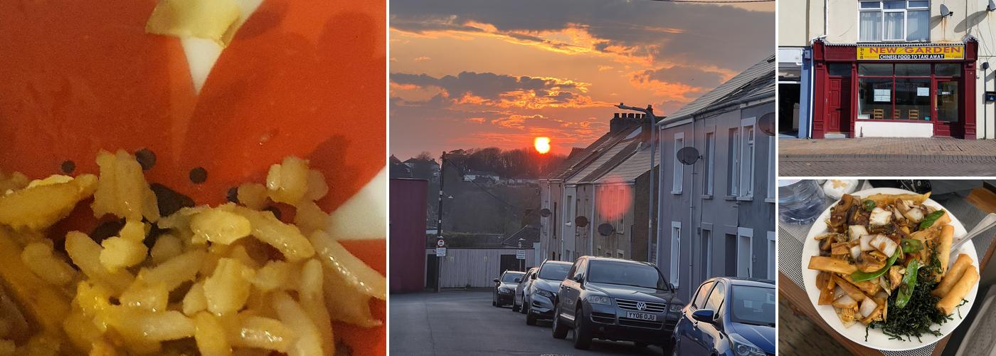 New Garden Chinese Takeaway