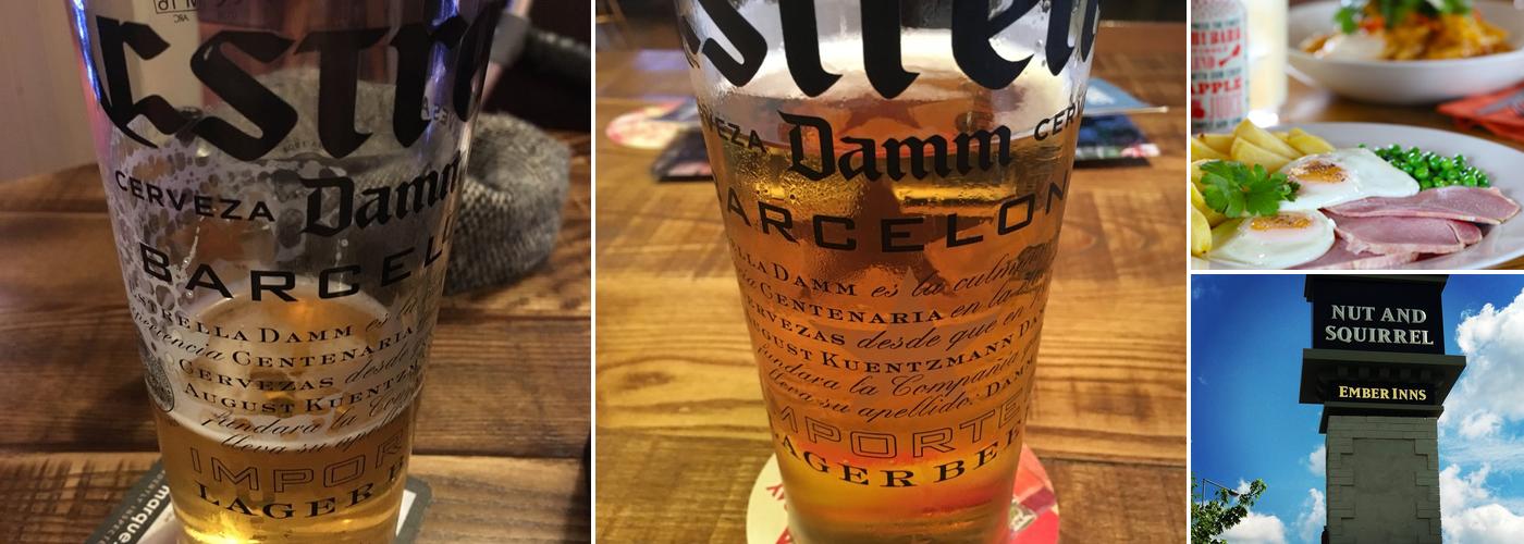 The Nut And Squirrel