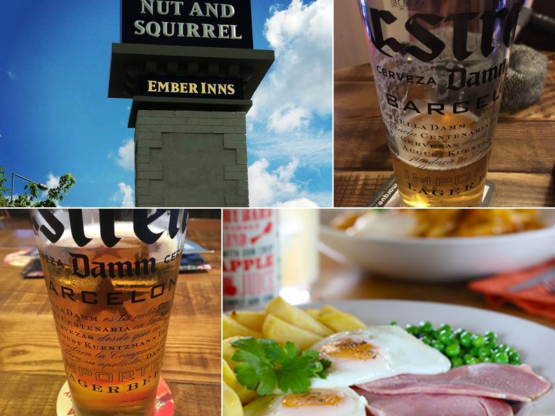 The Nut And Squirrel