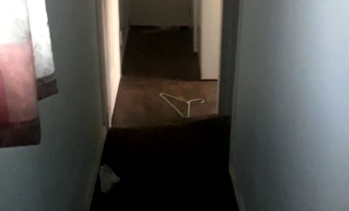 Noland's Auto Trim Shop